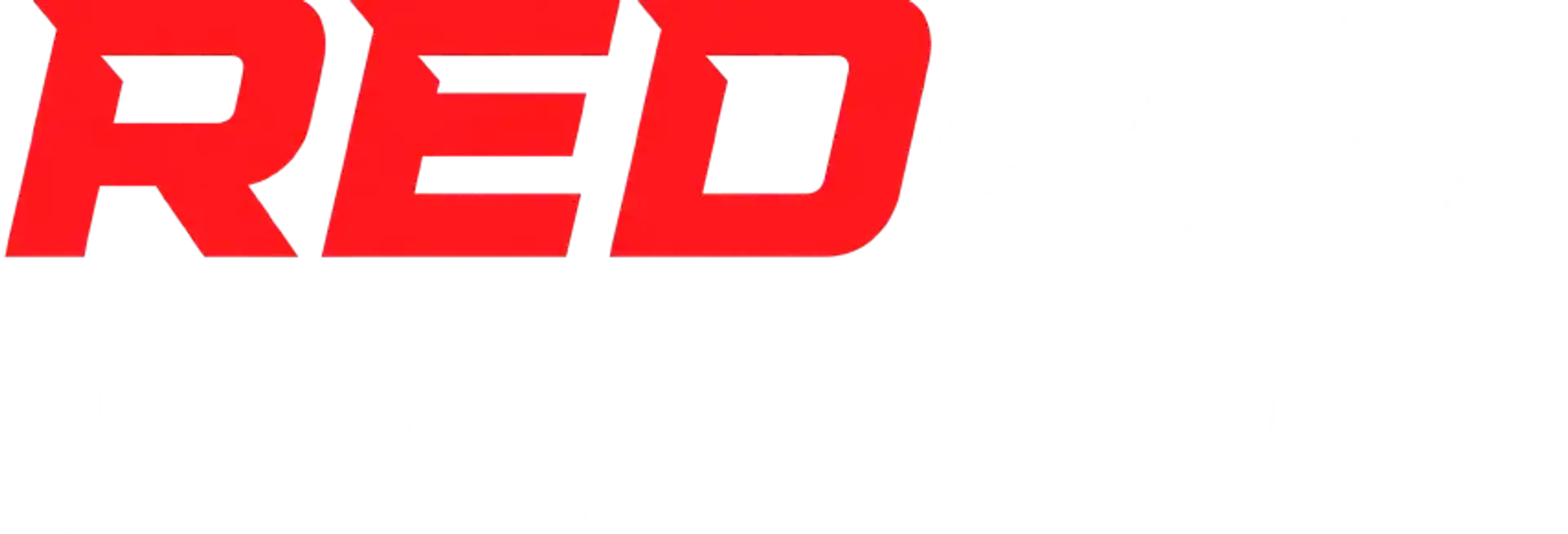 https://www.ron-geese-stiftung.com/wp-content/uploads/2026/07/redracer-logo.webp